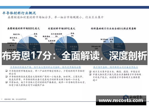 布劳恩17分：全面解读，深度剖析